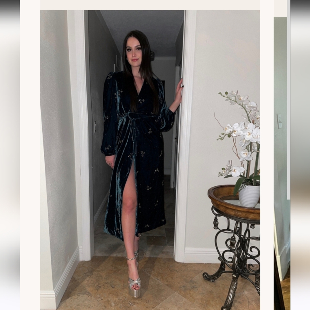 Divine heritage embellished velvet wrap dress - Picture 17 of 17